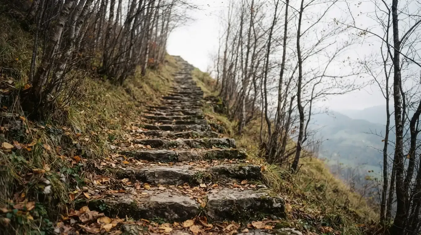 Eine Steintreppe führt einen Hügel hinauf, die Stufen sind mit Herbstlaub bedeckt und seitlich stehen kahle Bäume.