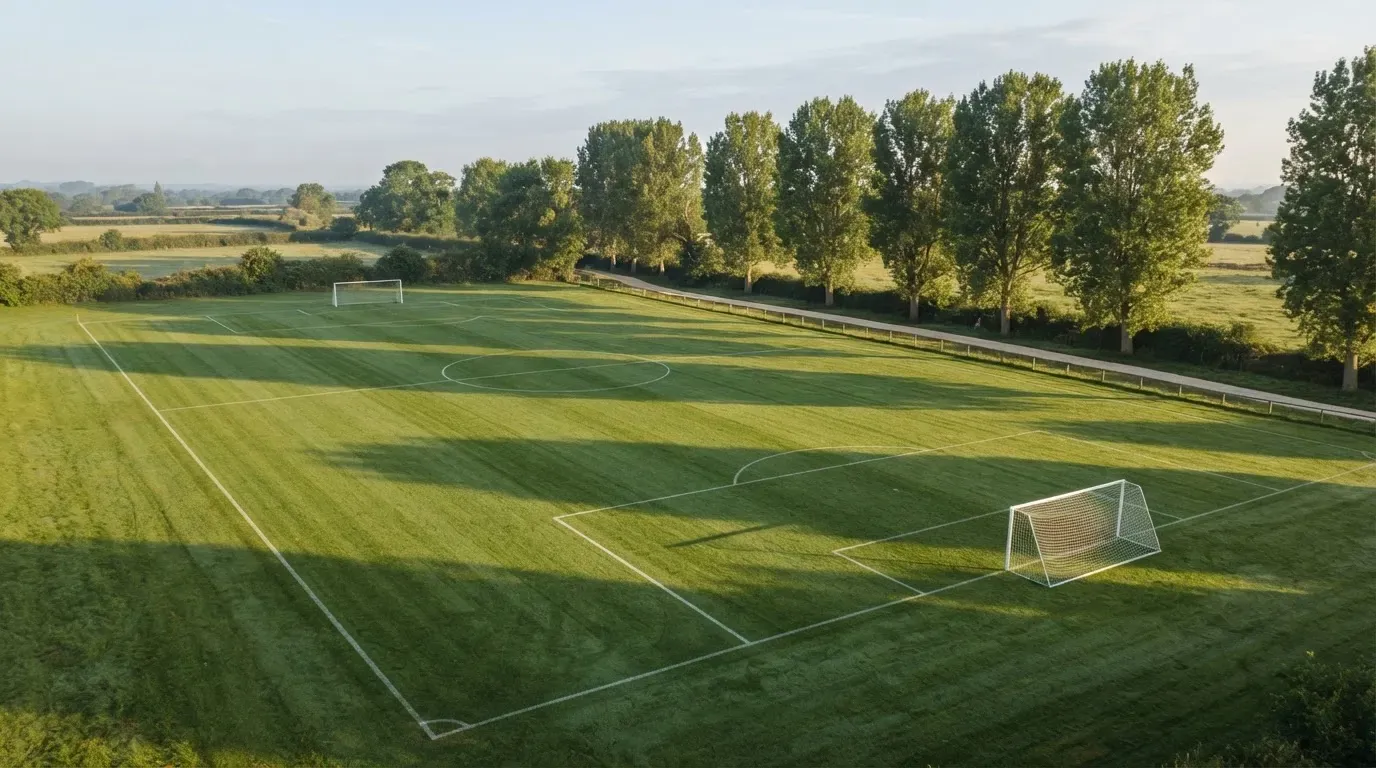 Ein leerer Fussballplatz mit weissen Linien von oben gesehen im Morgenlicht, am Rand stehen zwei Tore und eine Reihe Pappeln.