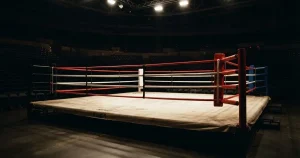 Boxen wetten in der Schweiz 2026 – Anbieter, Regeln, Quoten