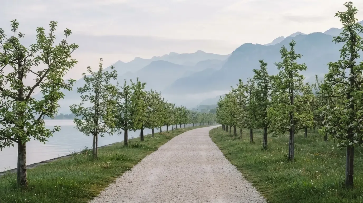 Ein langer Kiesweg zwischen Obstbäumen am Seeufer, im Hintergrund die Silhouette von Bergen im Dunst eines frühen Morgens.